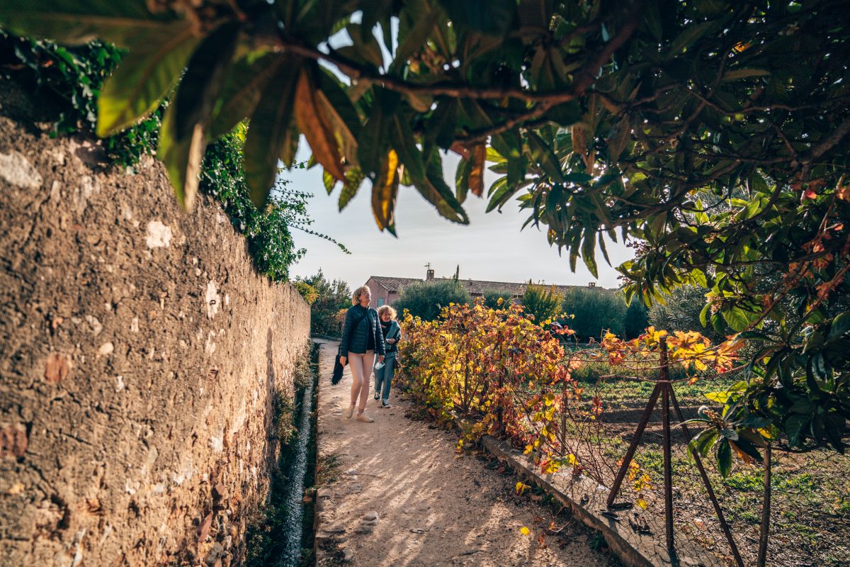 Balade gourmande  Ollioules