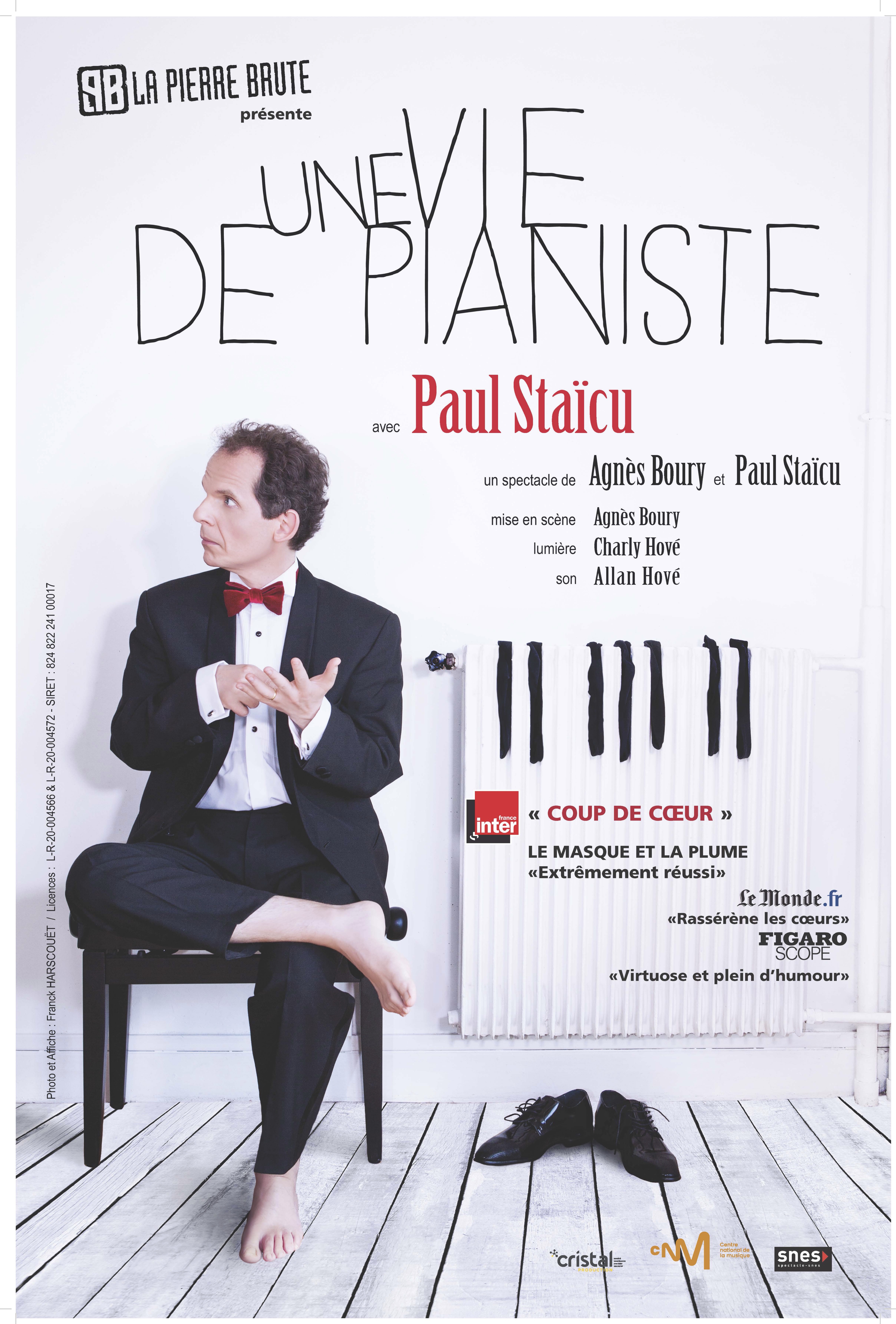 Humour  Despas -UNE VIE DE PIANISTE, AVEC PAUL STACU