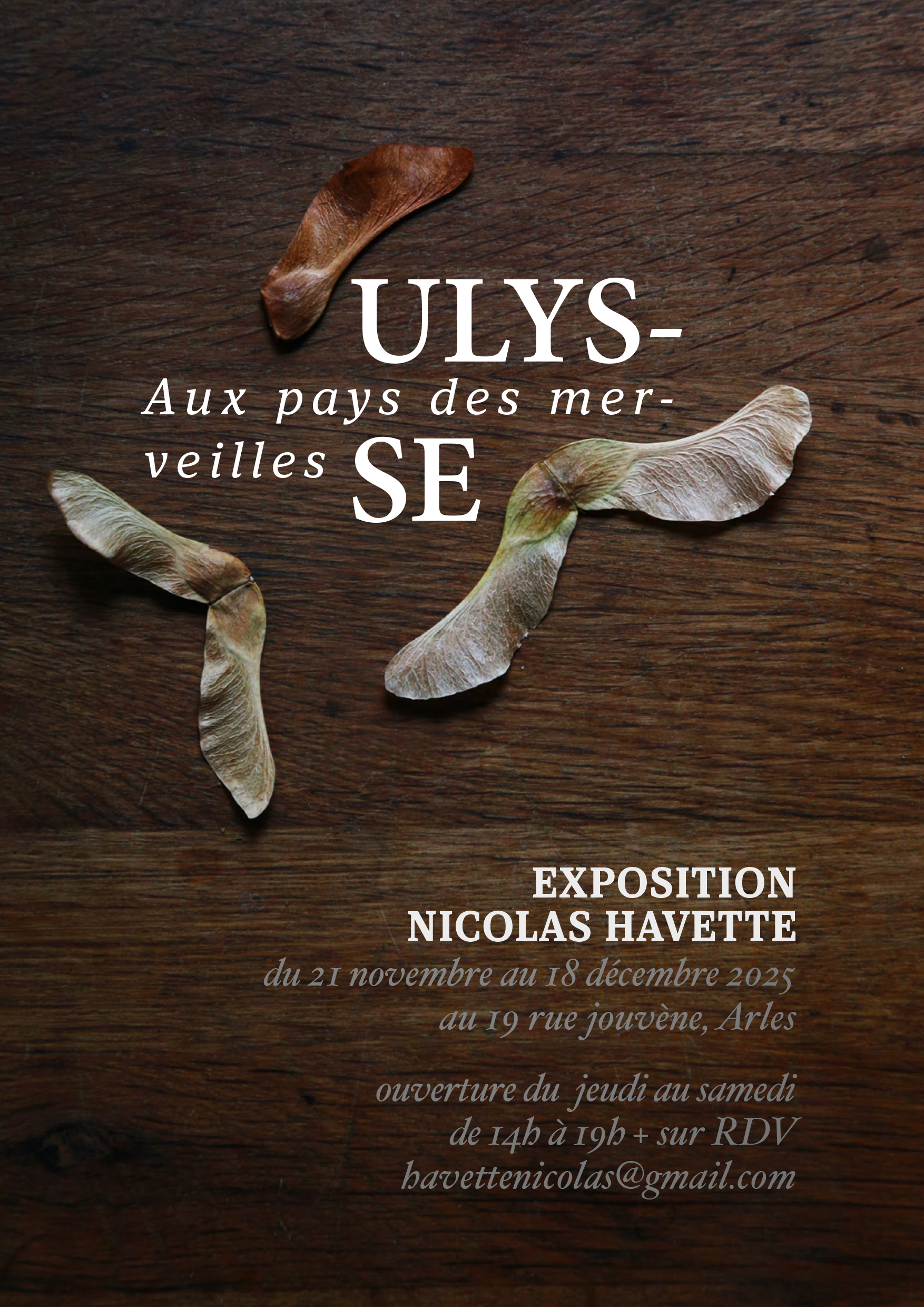 Ulysse aux pays des merveilles