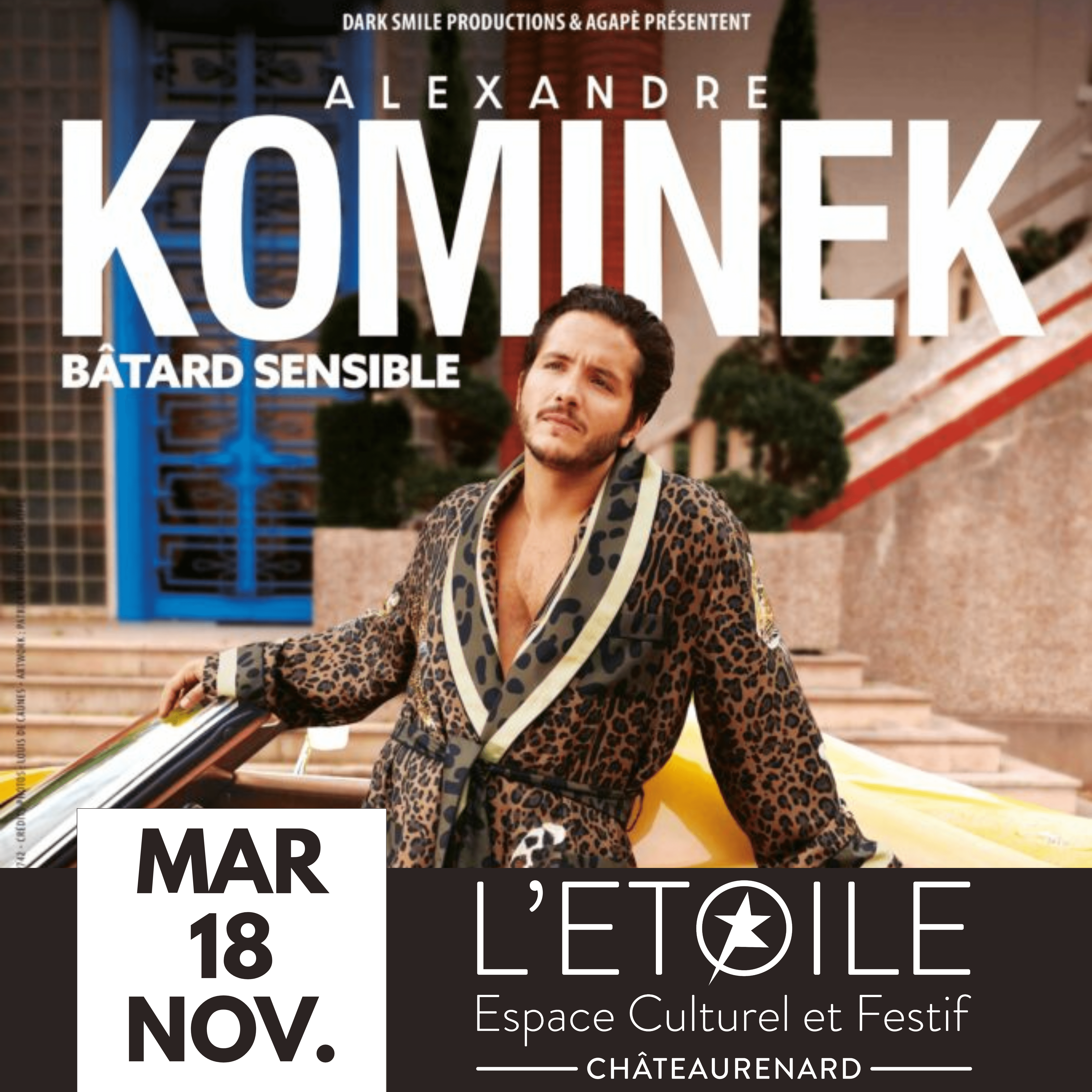 Btard Sensible - Alexandre Kominek