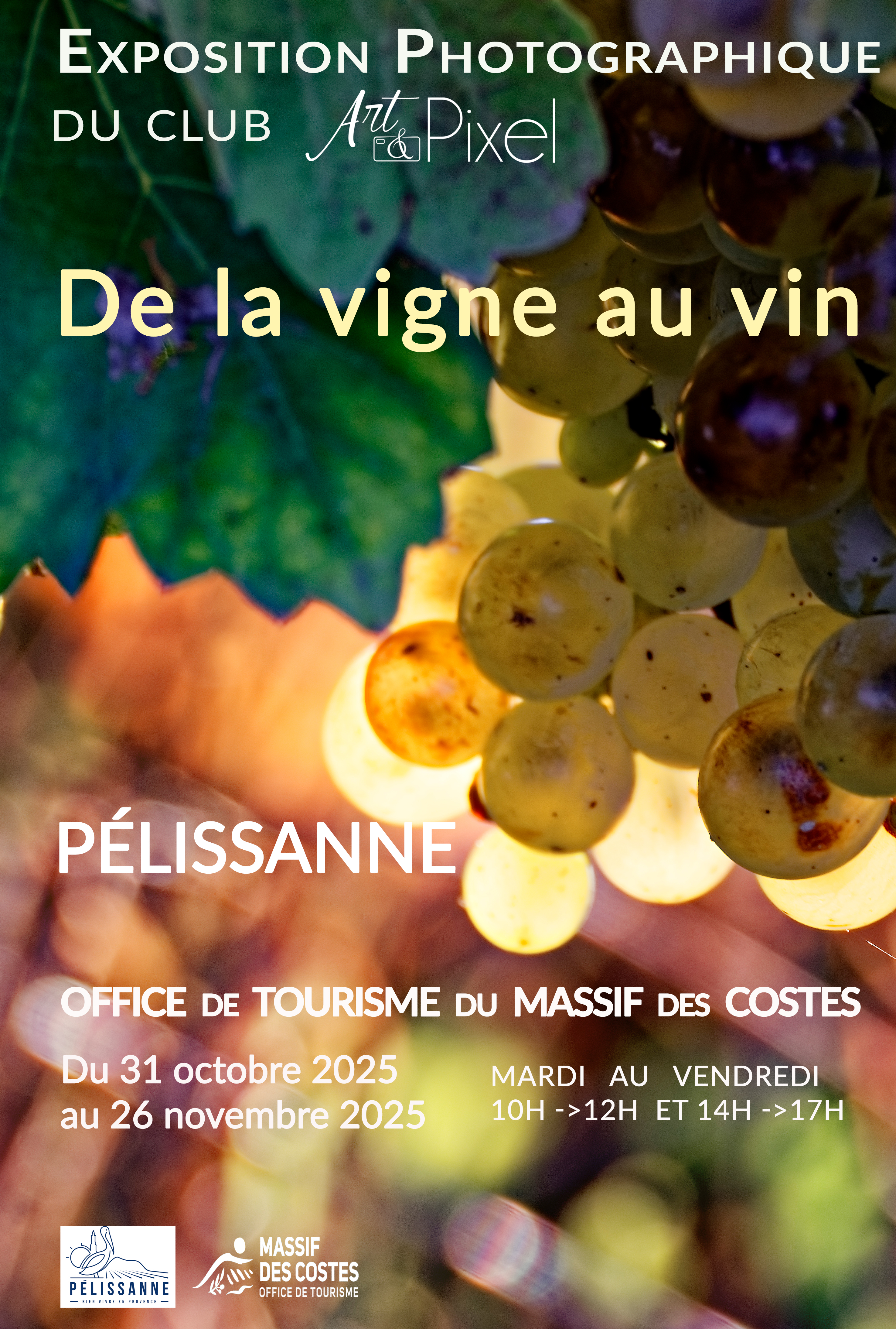 Vernissage de l'exposition 