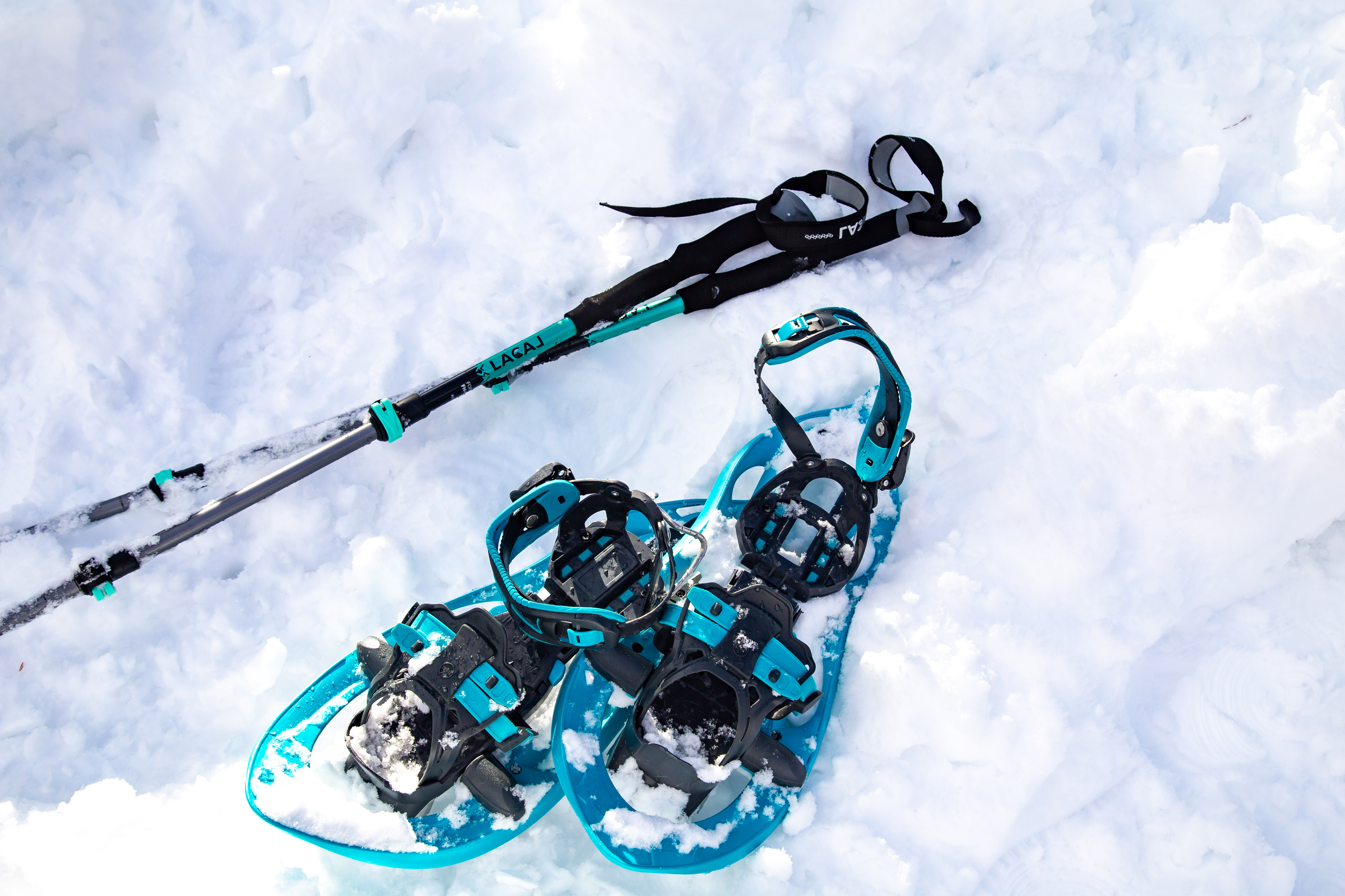 Marche dcouverte en raquettes