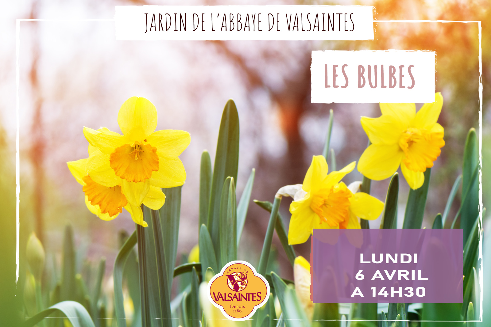 Les bulbes de Valsaintes