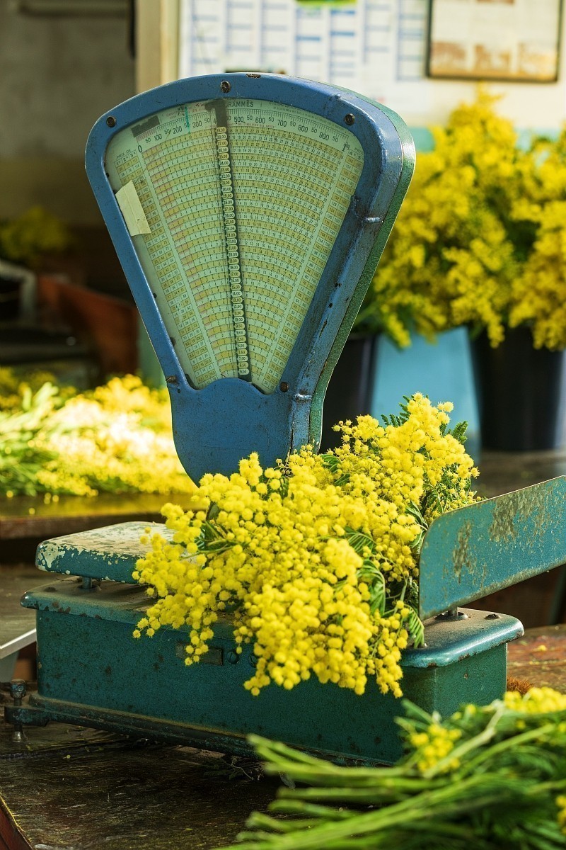 Visite guide d'une forcerie