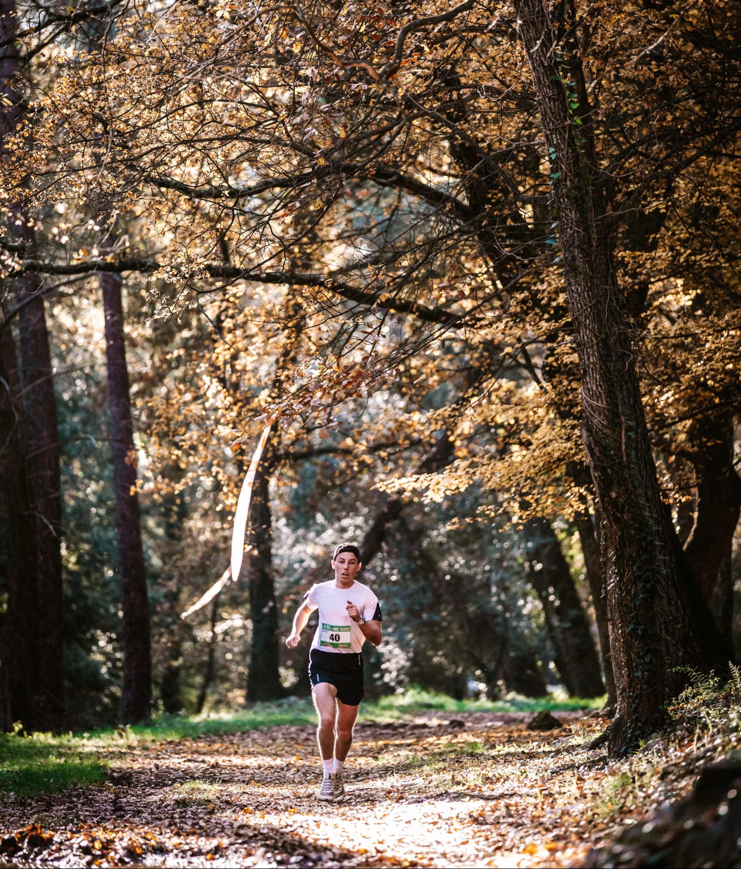 Trail du Pays Venois