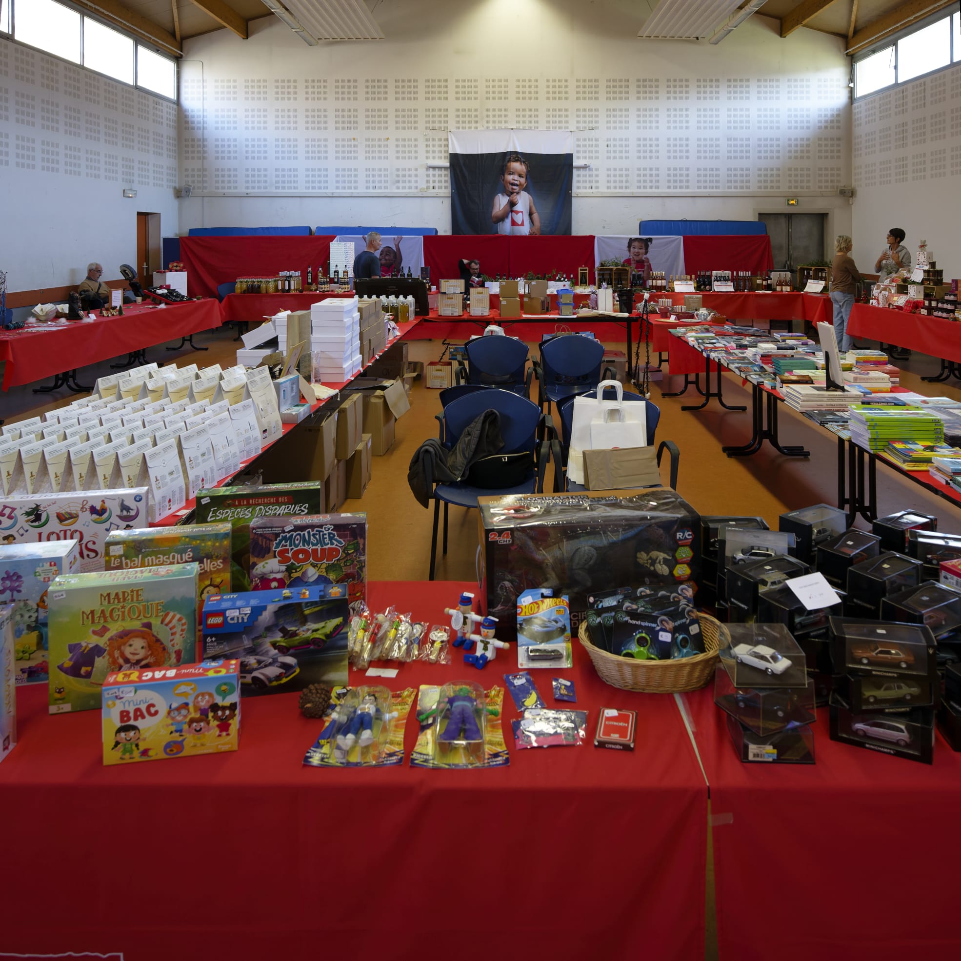 Grande vente de Nol de Mcnat Chirurgie Cardiaque