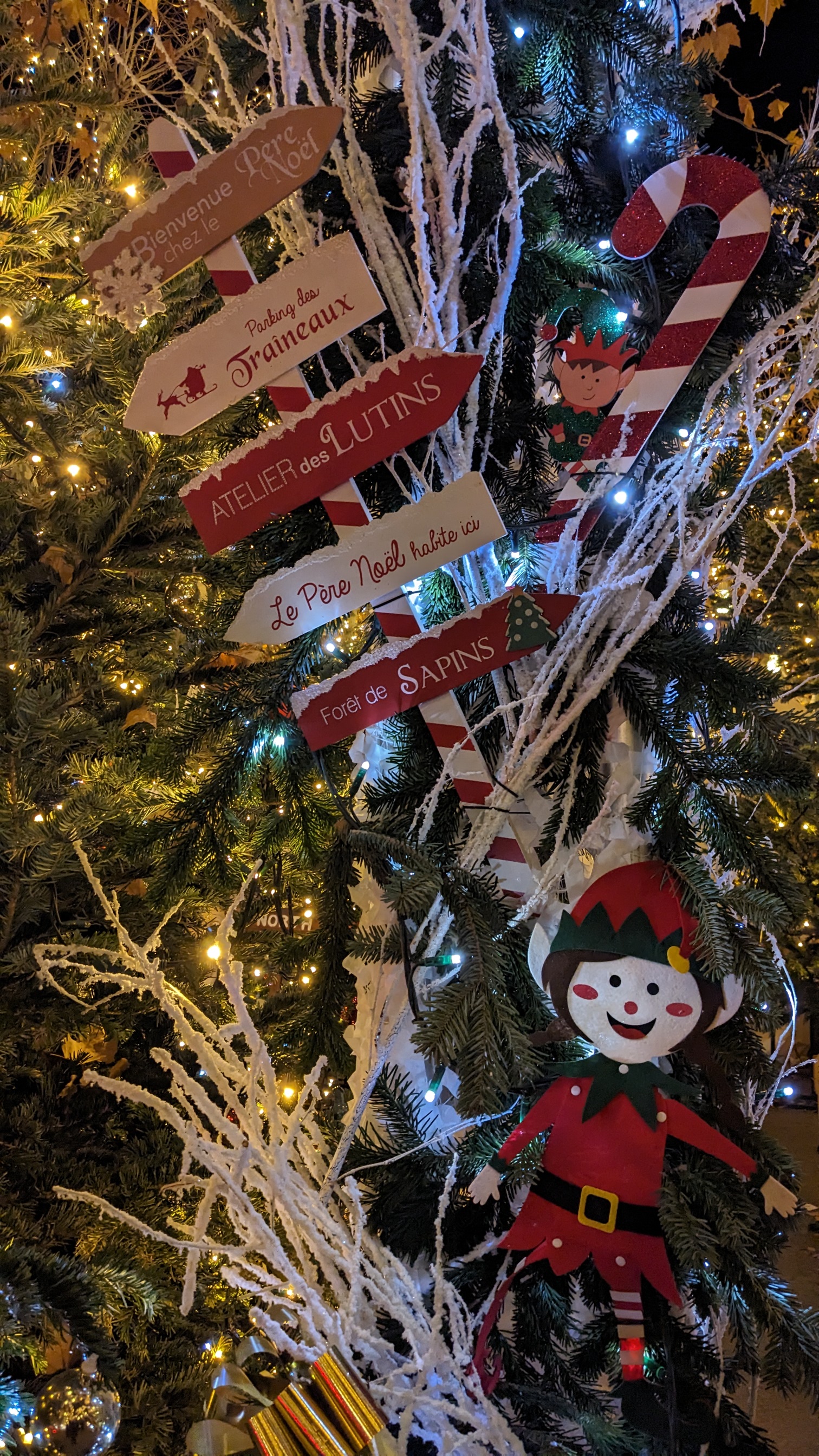 Nol ferique Place Castellane