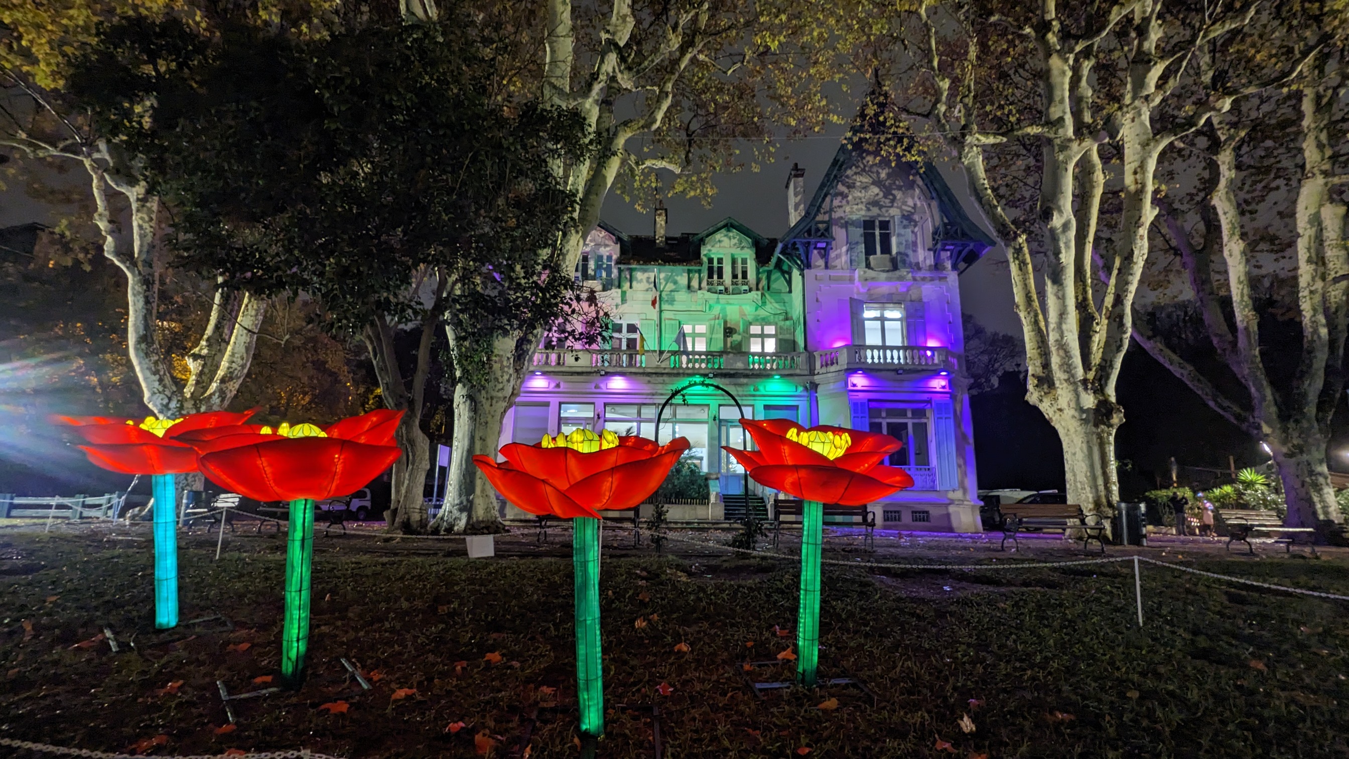 Nol ferique  Bagatelle