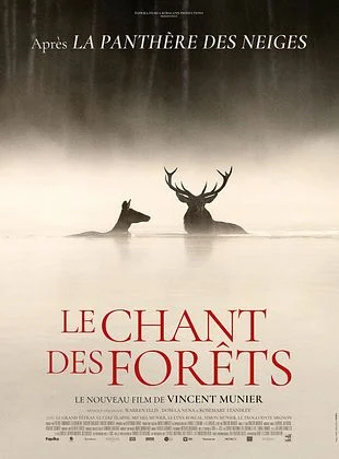 Cinma : Le chant des forts