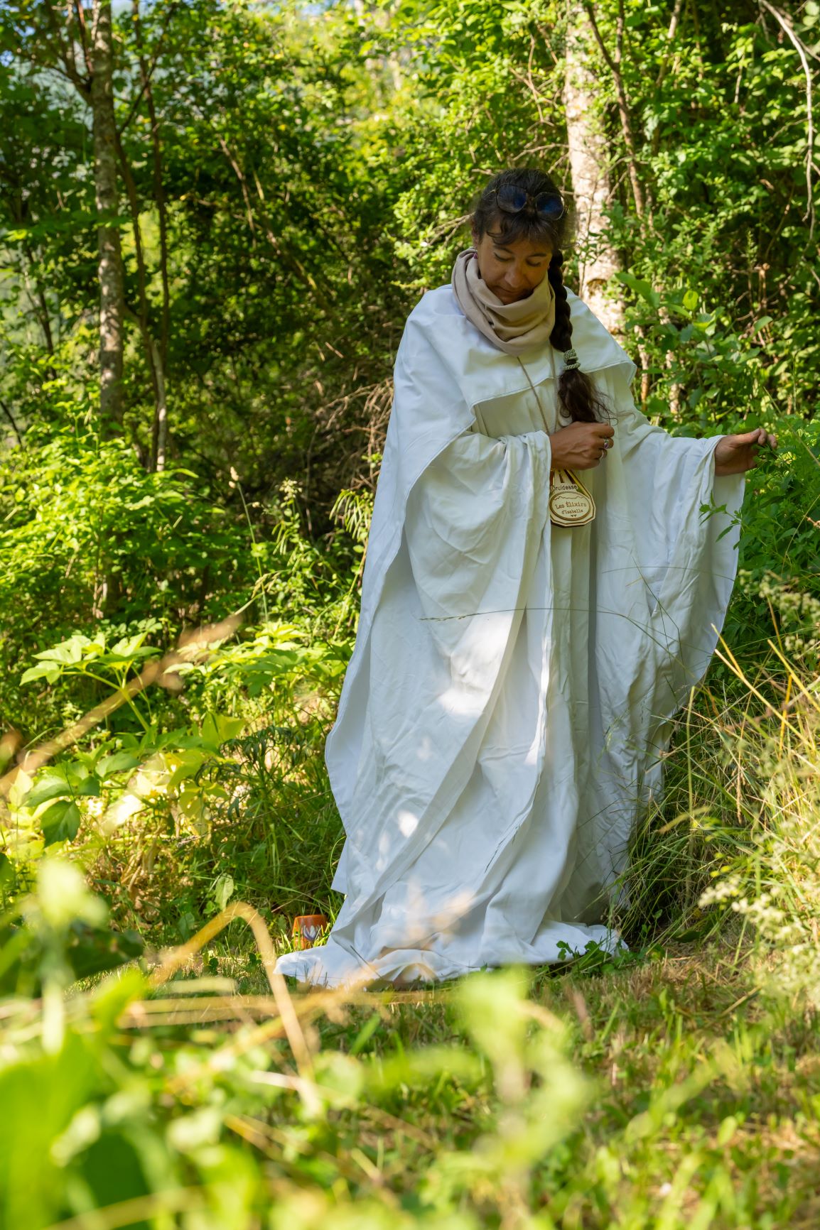 L'�cole des druides