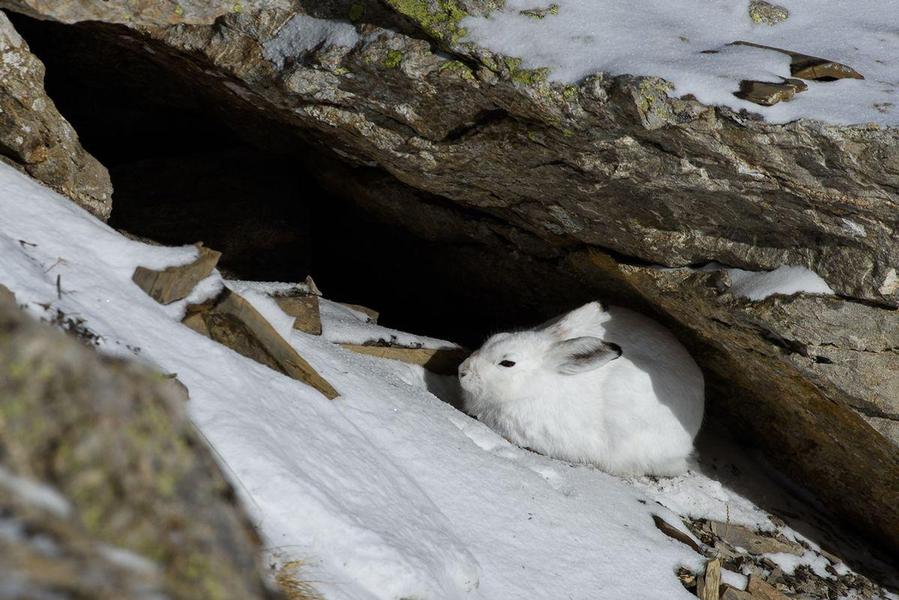 Diaporama suivi dun change avec un garde