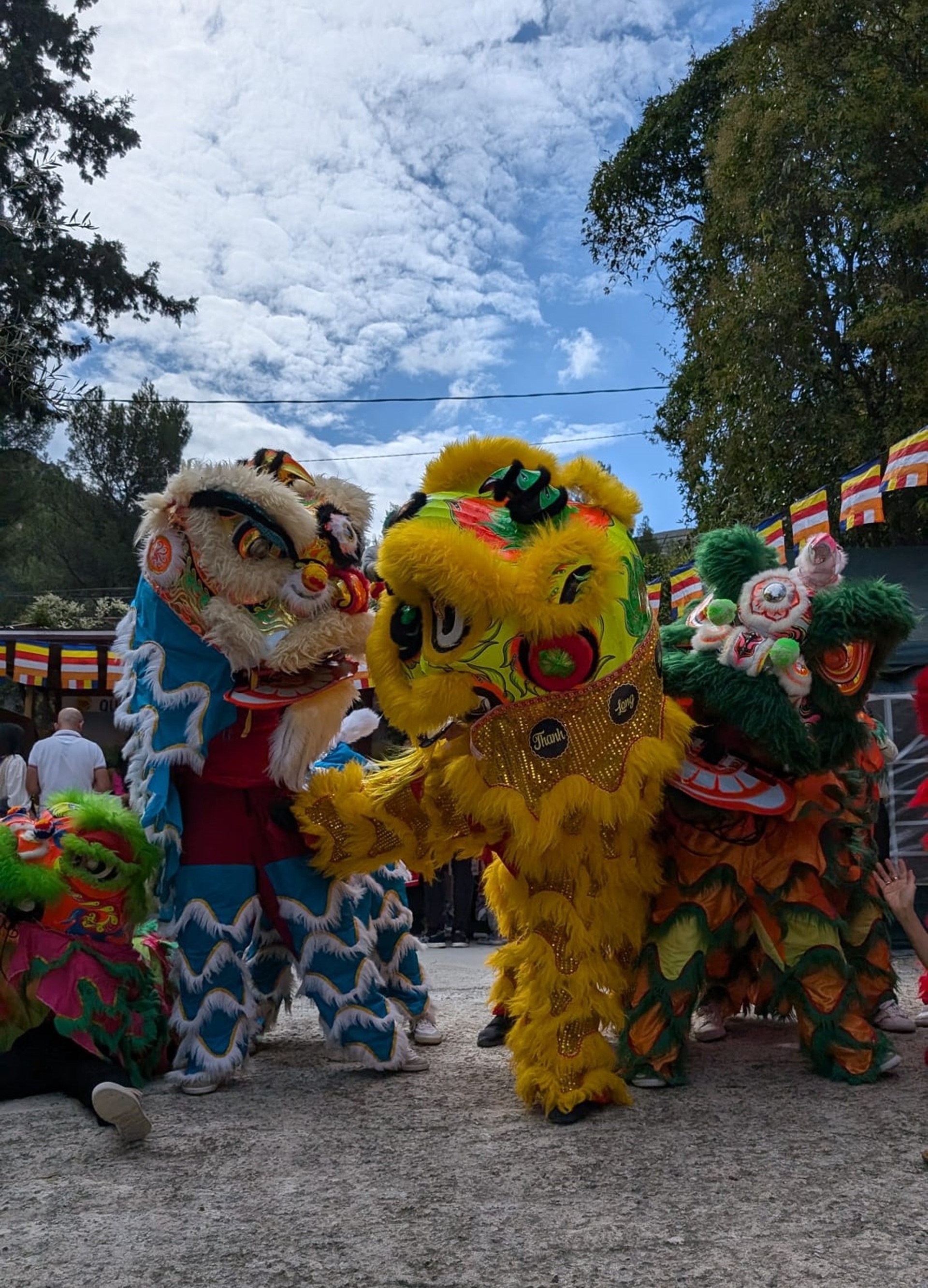 Danse du lion (Ma Ln) par lcole darts martiaux vietnamiens Thanh Long V ??o France - une premire depuis 10 ans au Muse dpartemental des Arts Asiatiques  Nice