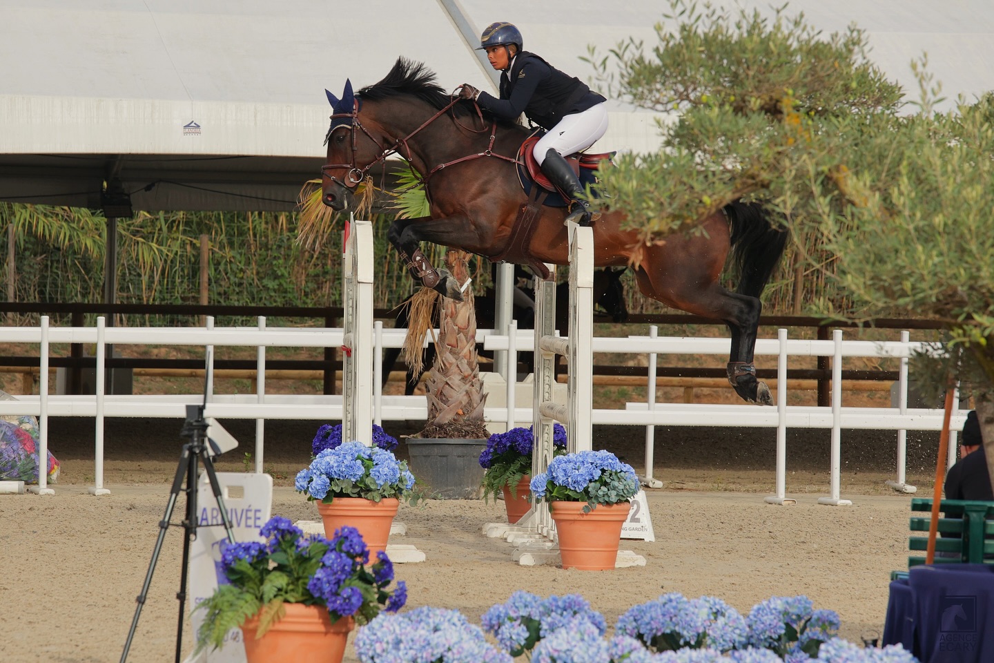 Concours de sauts international - jumping de septembre