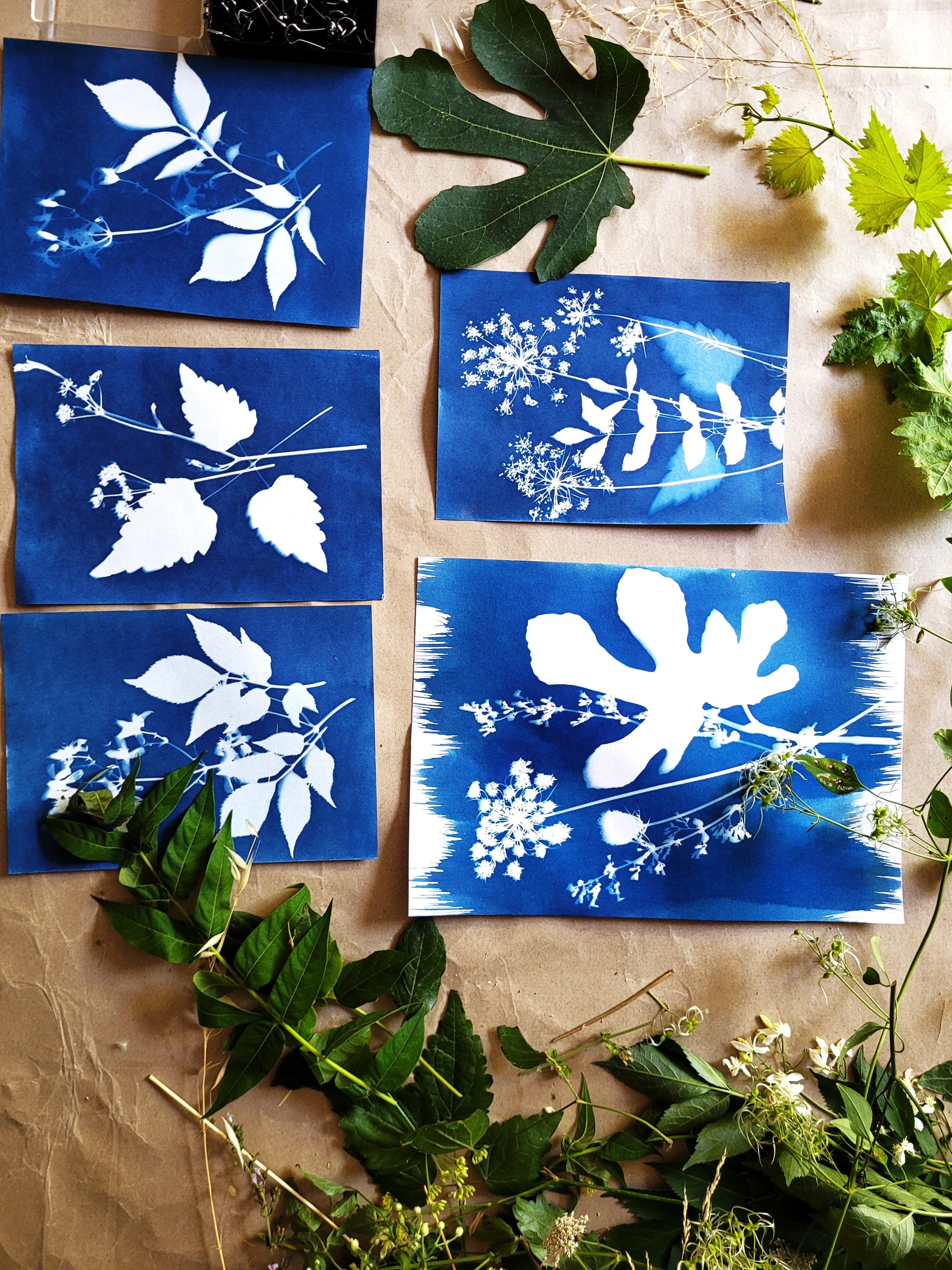 Ateliers carte de vux en Cyanotype