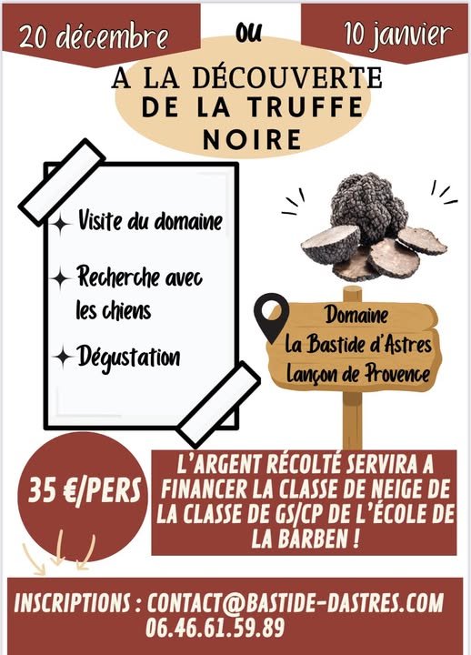 A la dcouverte de la truffe noire