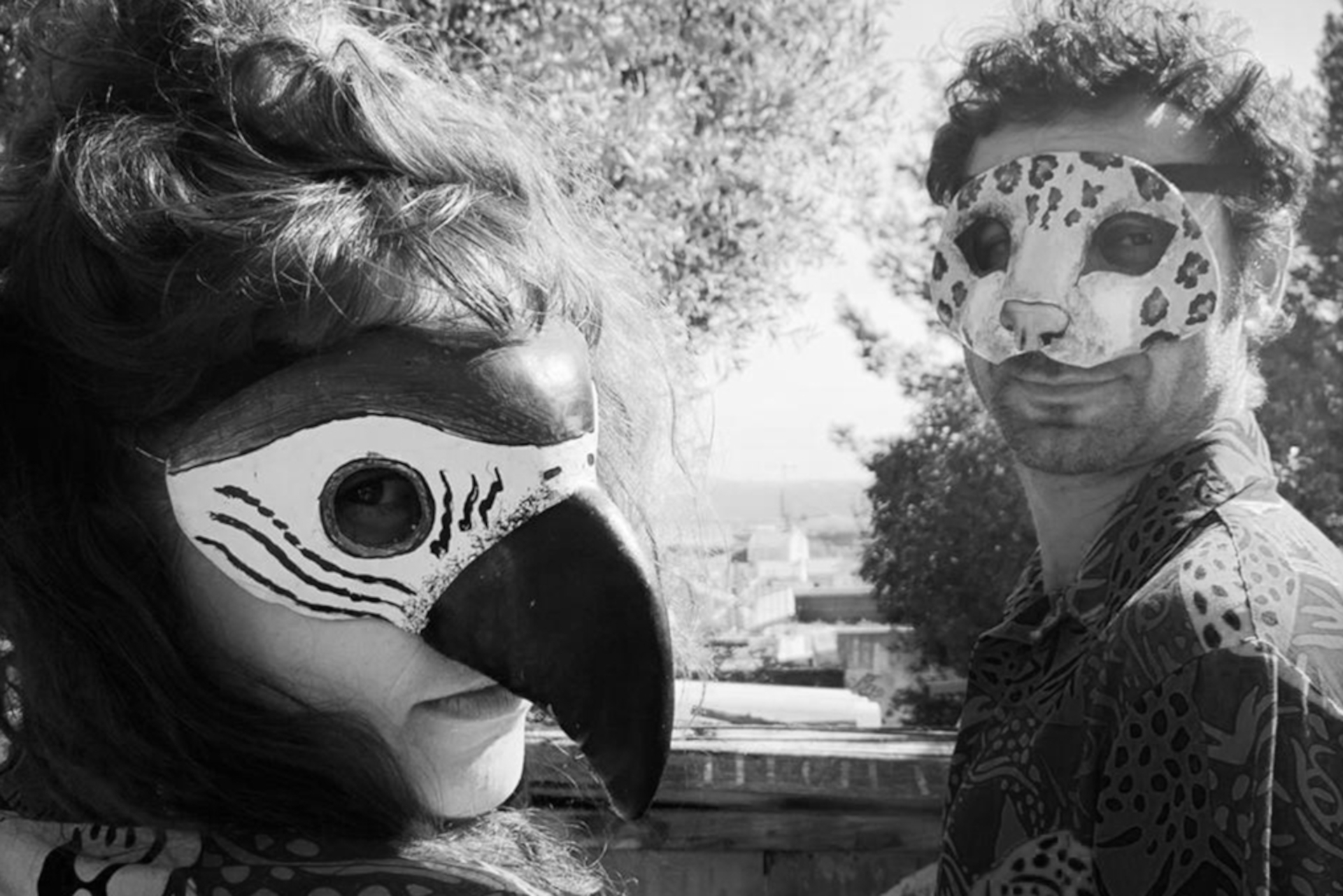 After bar avec Electro Faune