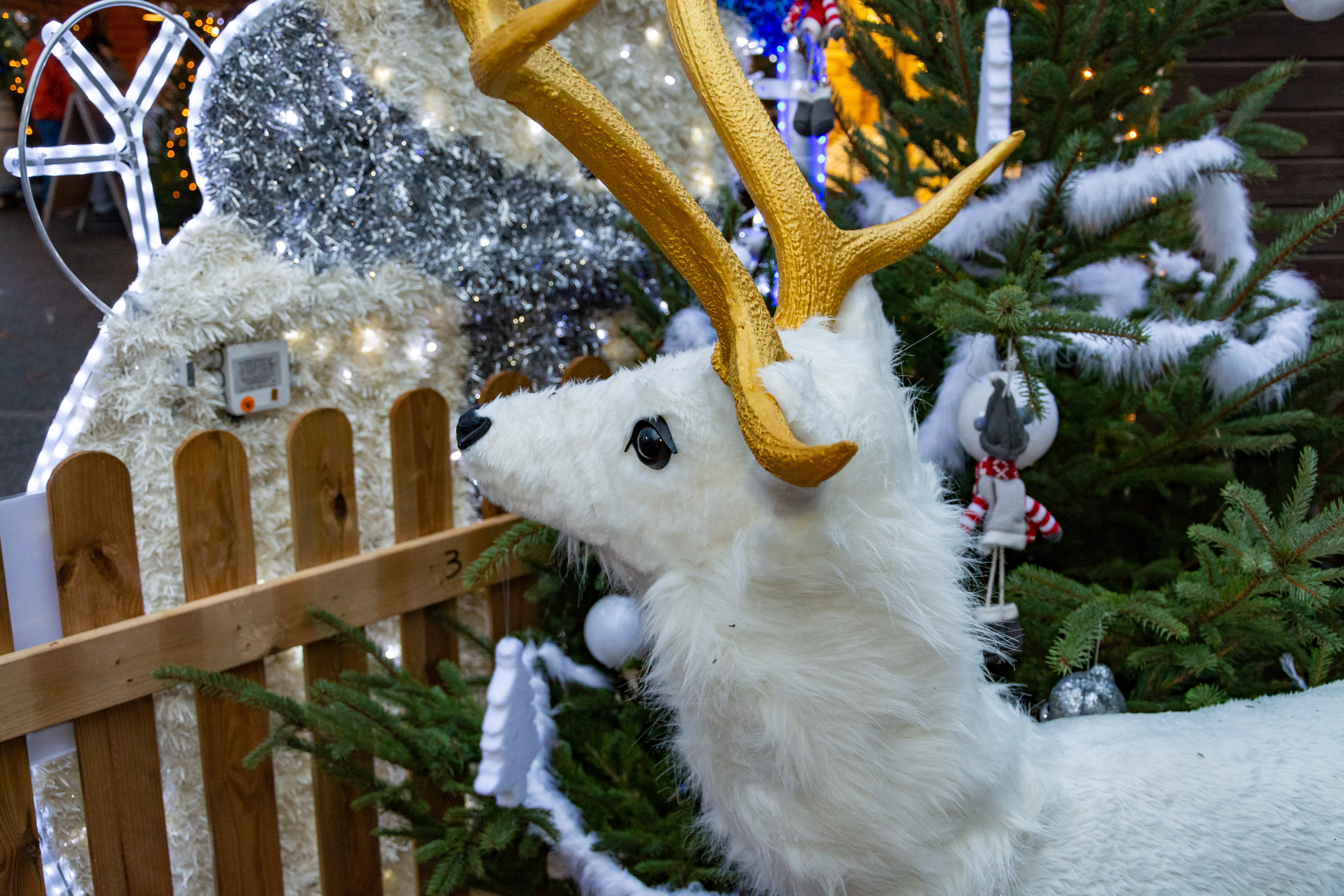 Spectacles pour enfants