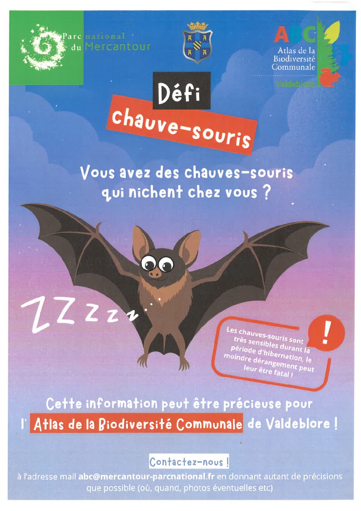 Dcouverte et observation de la Chauve Souris