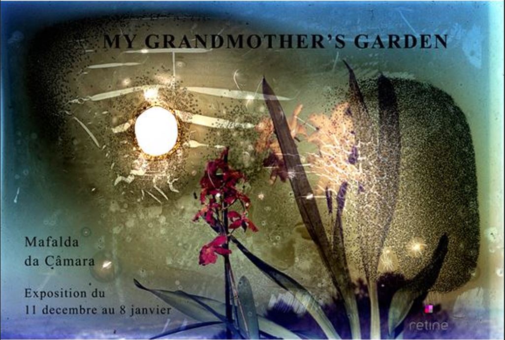 My grand mother's garden