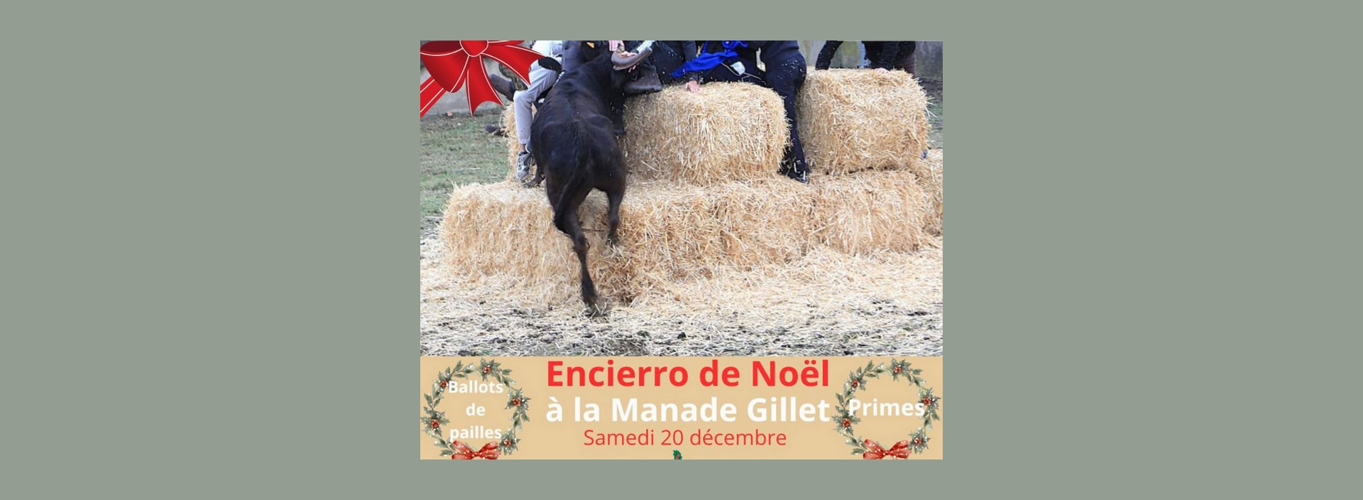 Encierro de Nol