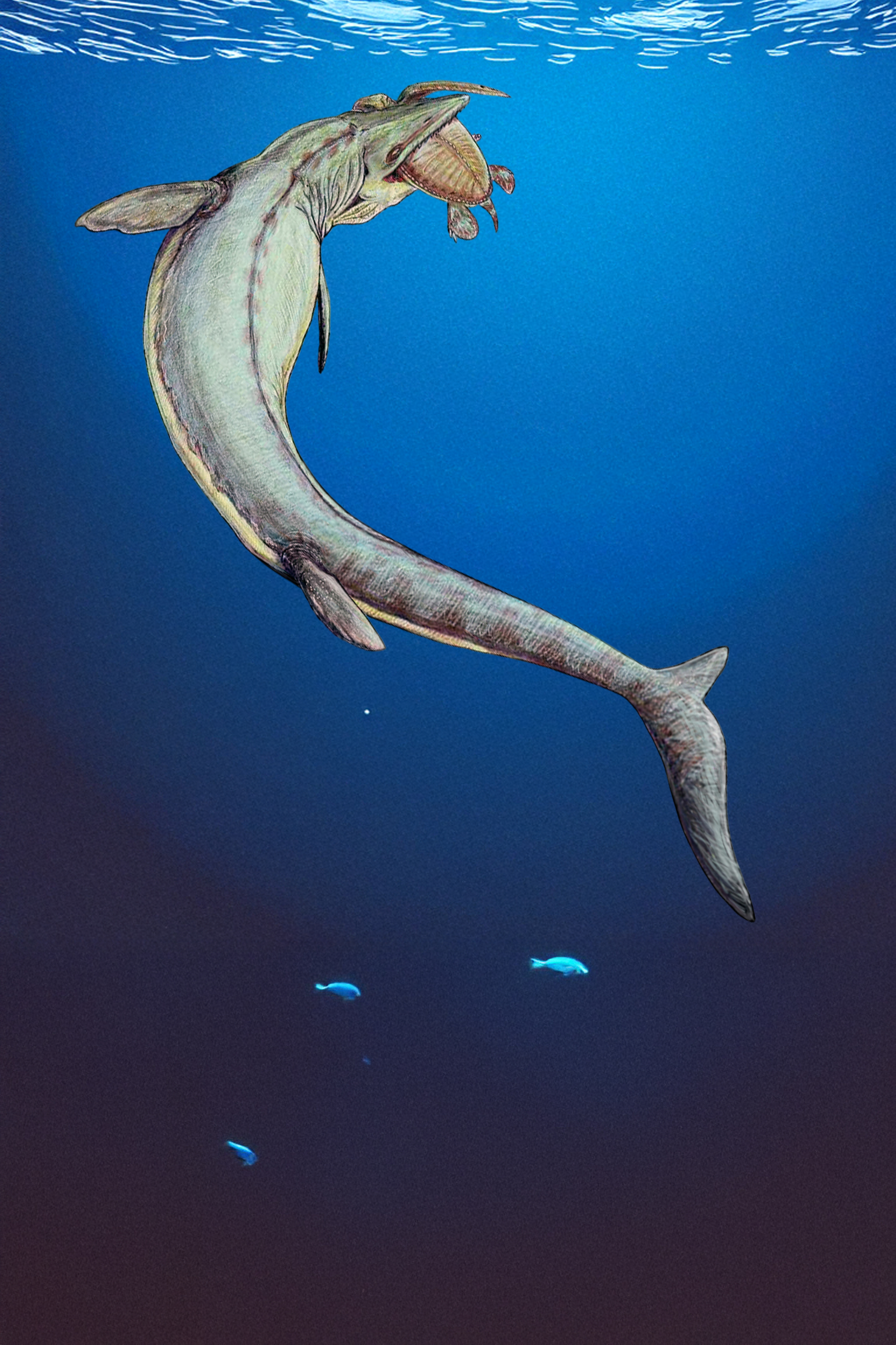 Mosasaures, quand les lzards rgnaient sur les mers