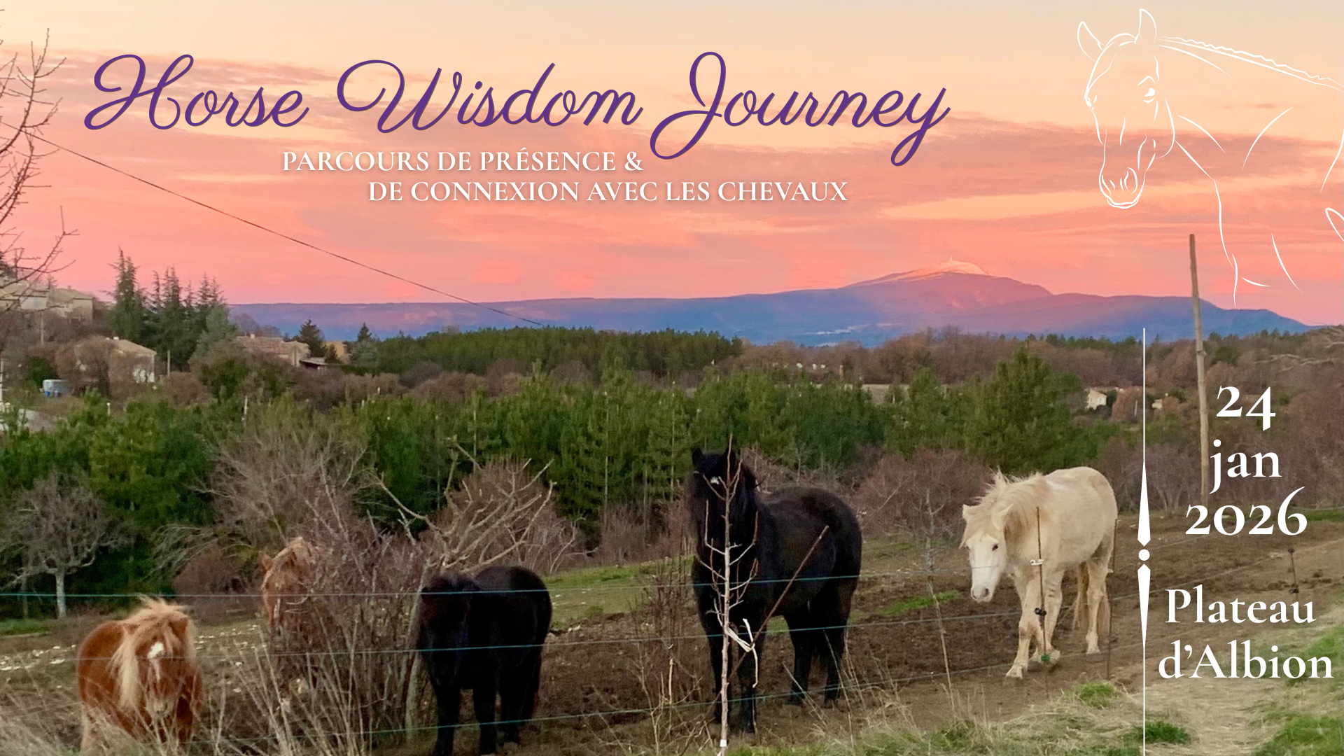 Demi-journe bien-tre - qui-libre et essence en quithrapie