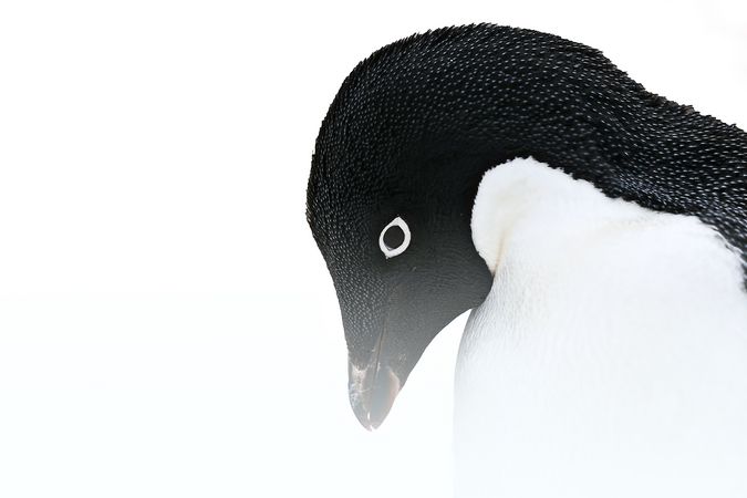 Exposition : Margot Sib 