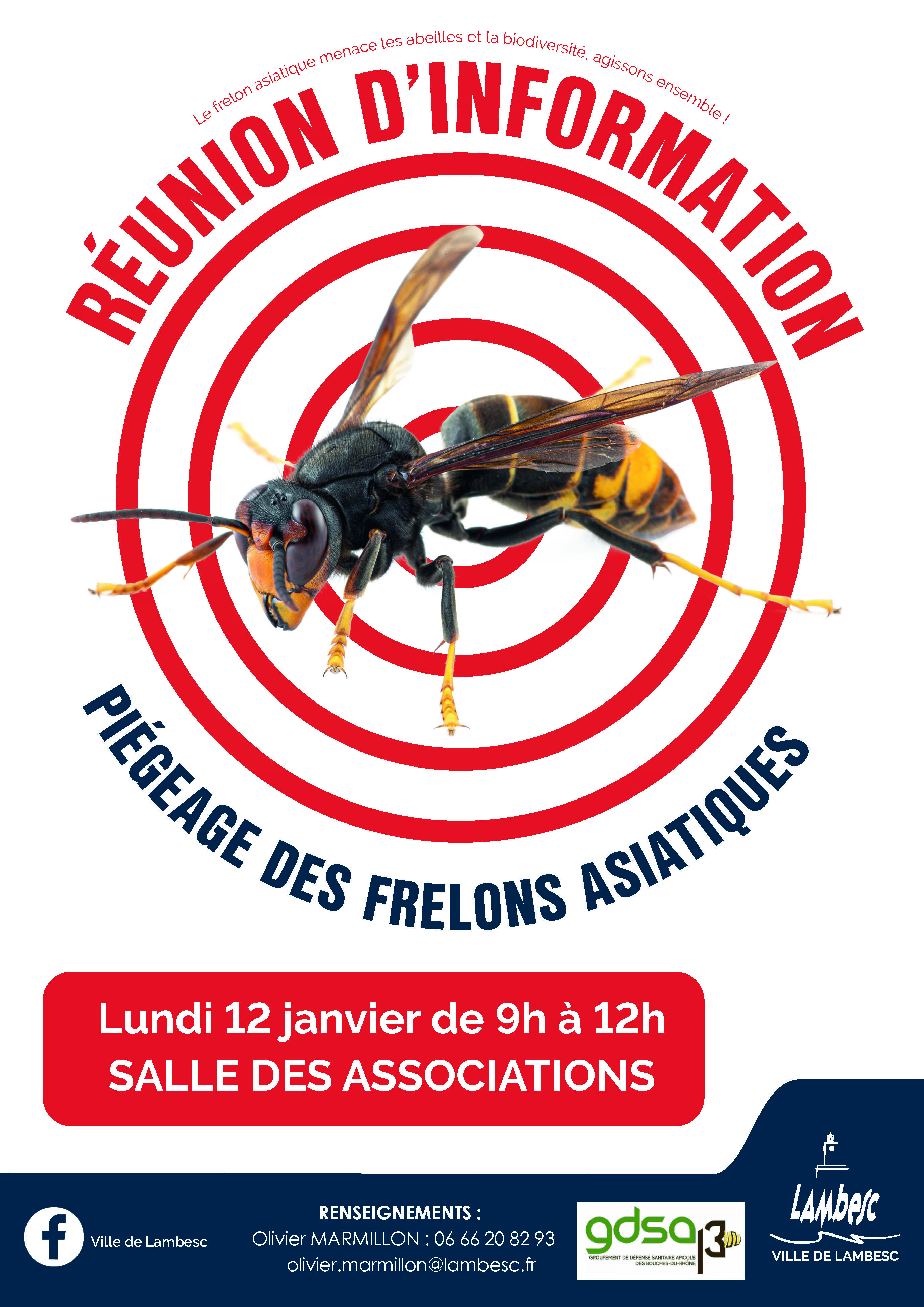 Runion d'information sur le pigeage des frelons asiatiques
