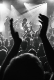 Les Negresses Vertes