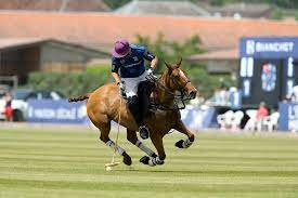 Tournoi de polo - La saga challenge