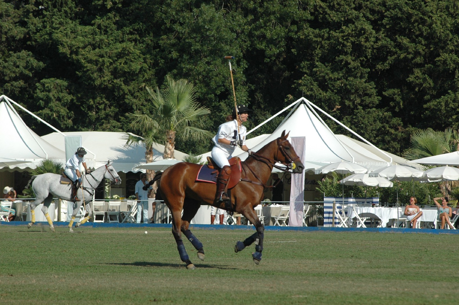 Tournoi de polo - Womens polo series