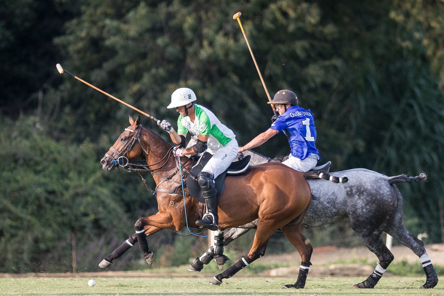 Tournoi de polo - Ambassadors cup