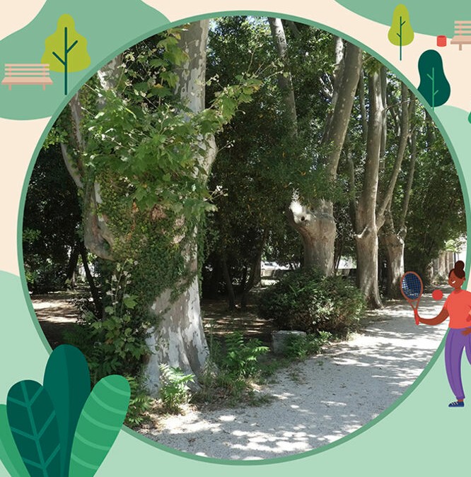 D�couverte de l�arboretum