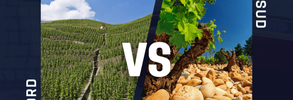 Atelier �cole des Vins - D�couverte des Crus des C�tes du Rh�ne