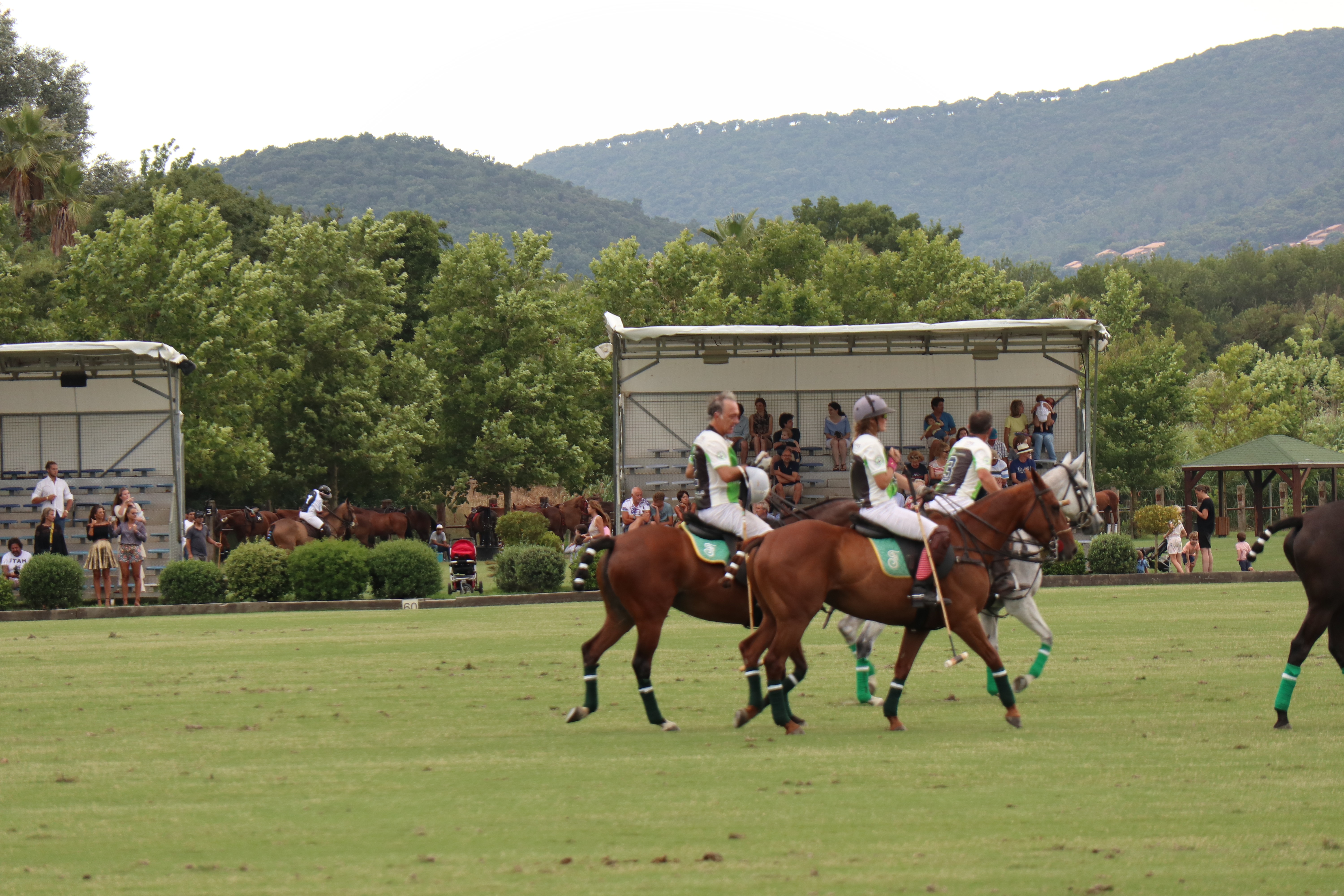 Tournoi de polo - Polo exhibition week et practrices