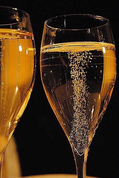 Atelier �cole des Vins - L'Art de la bulle en Vall�e du Rh�ne