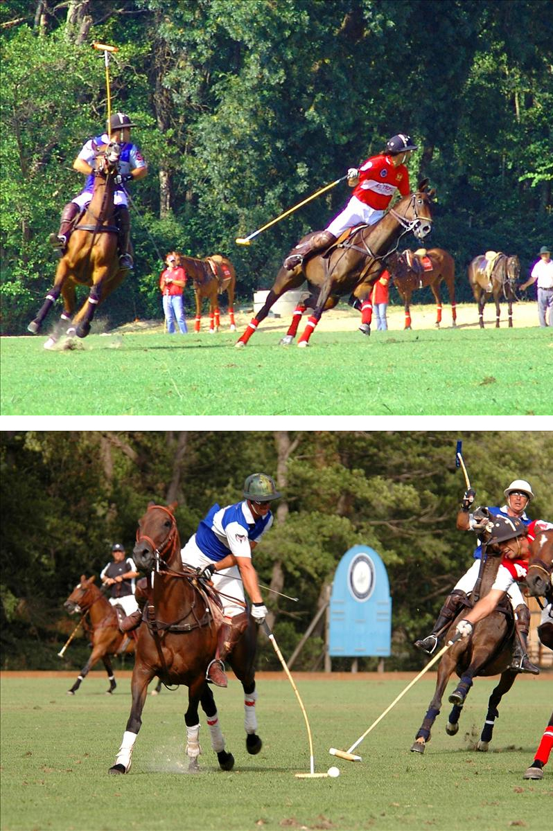 Tournoi de polo - C�te d'Azur cup