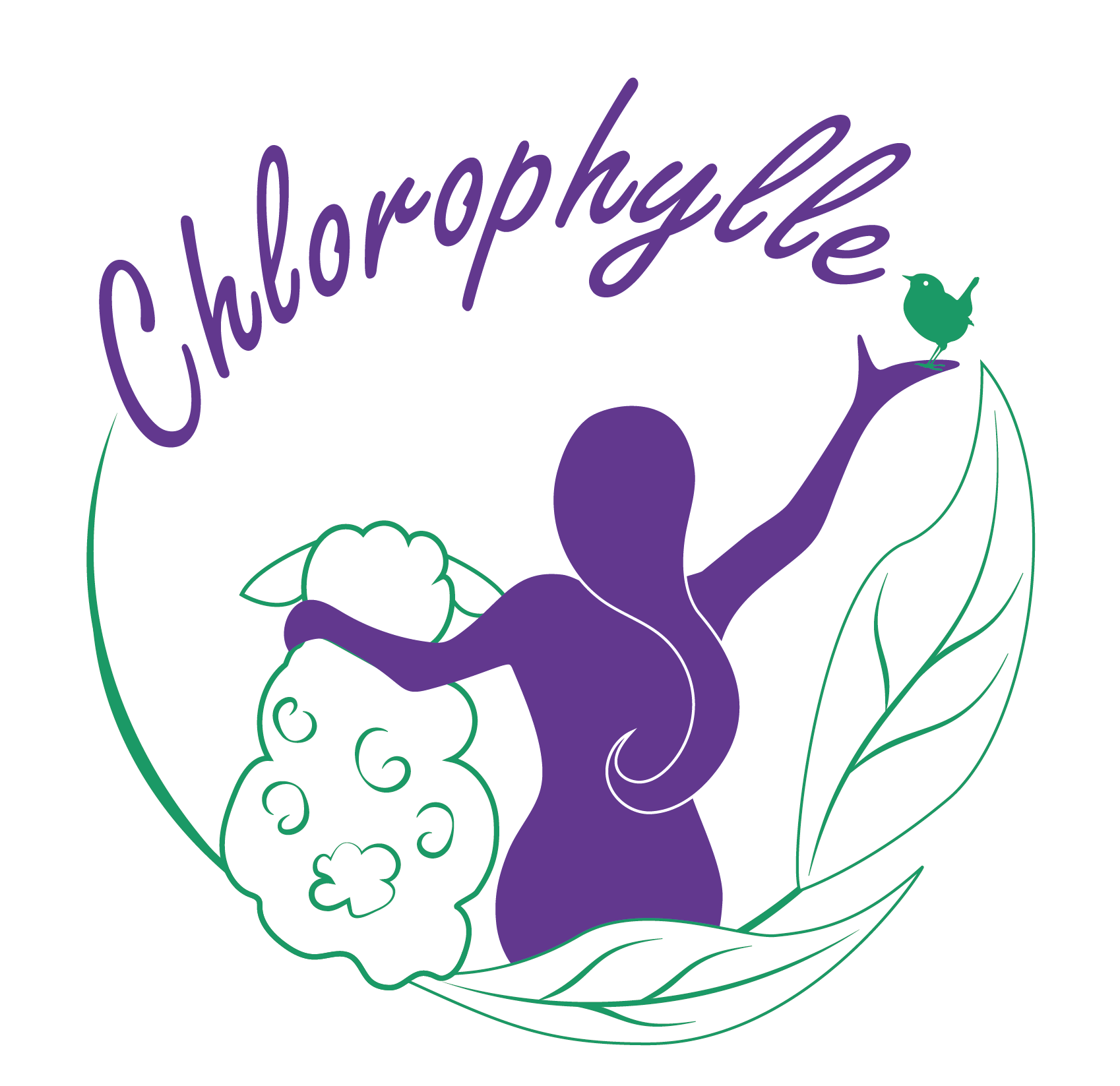 Sortie nature sur les oiseaux - journ�e mondiale des zones humides