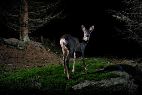 Conf�rence Sciences pour tous 