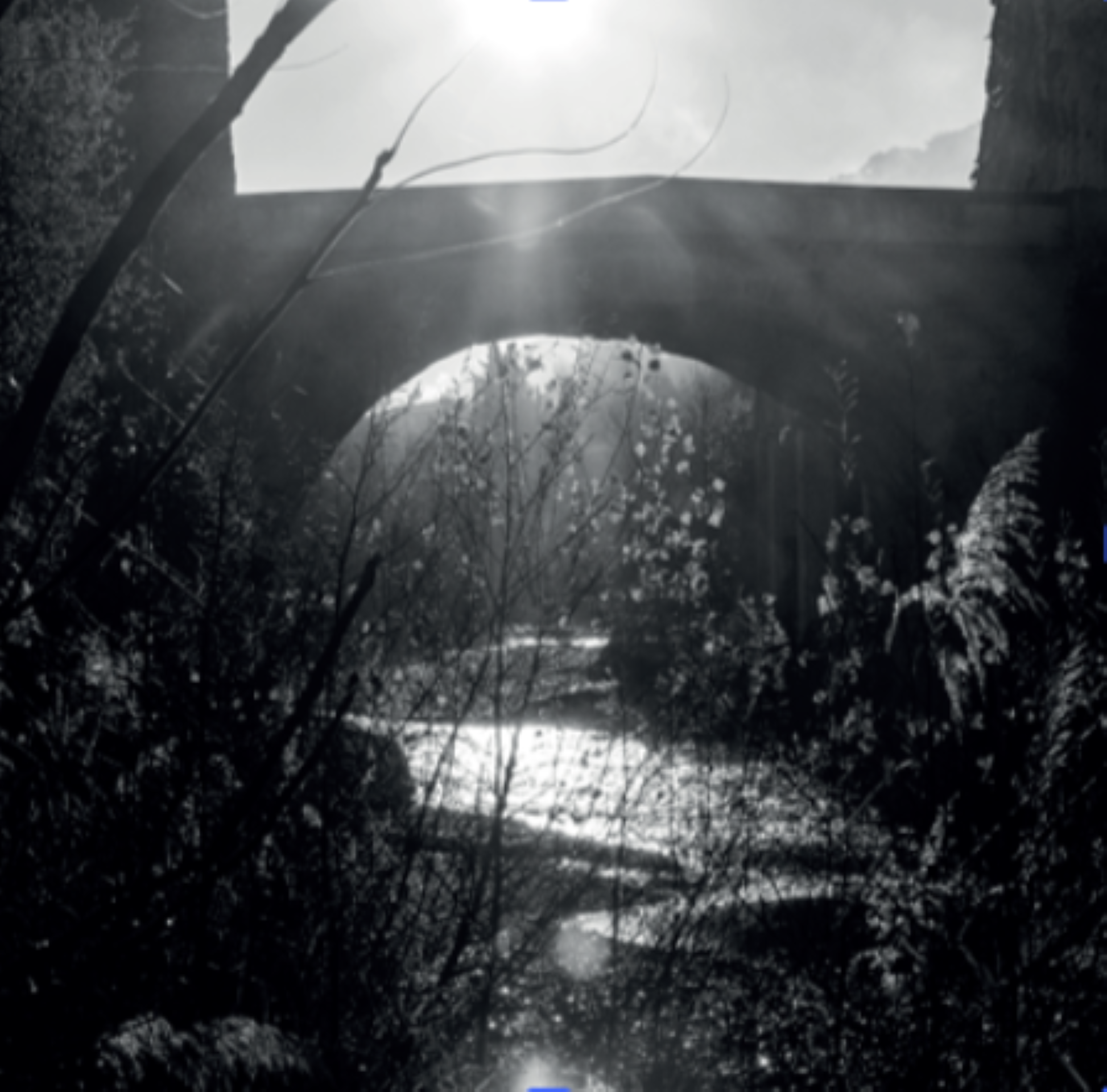 Exposition sur l'eau � la m�diath�que municipale