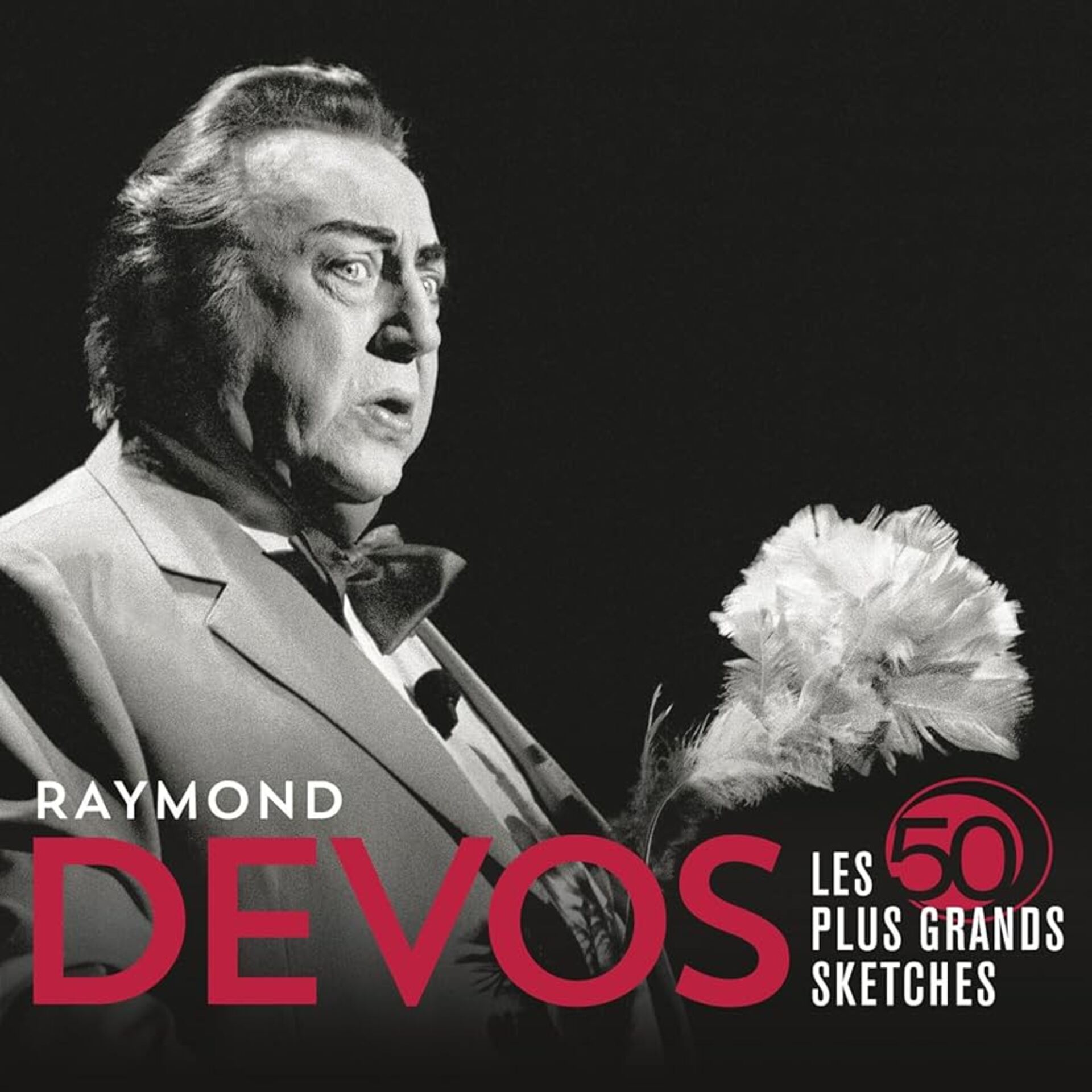 Hommage � Raymond Devos - Au dessus de la plaine