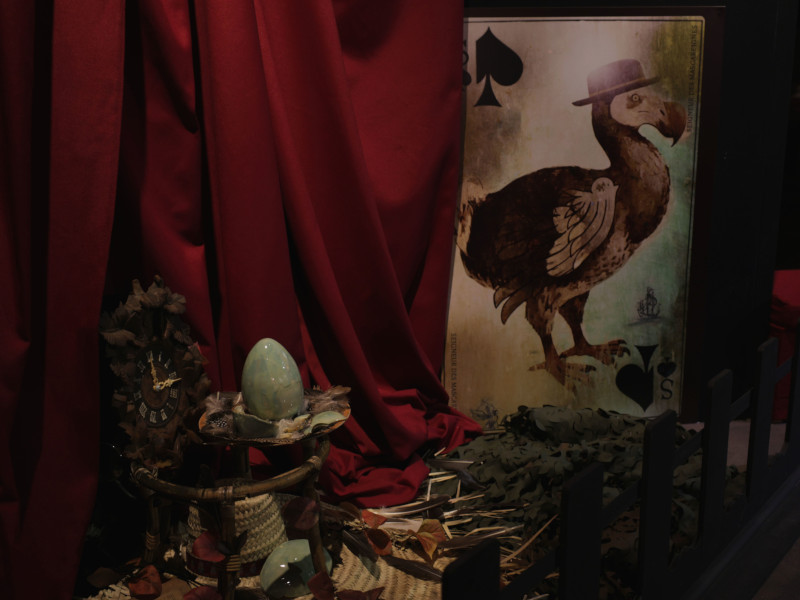 Visites flash anim�e 