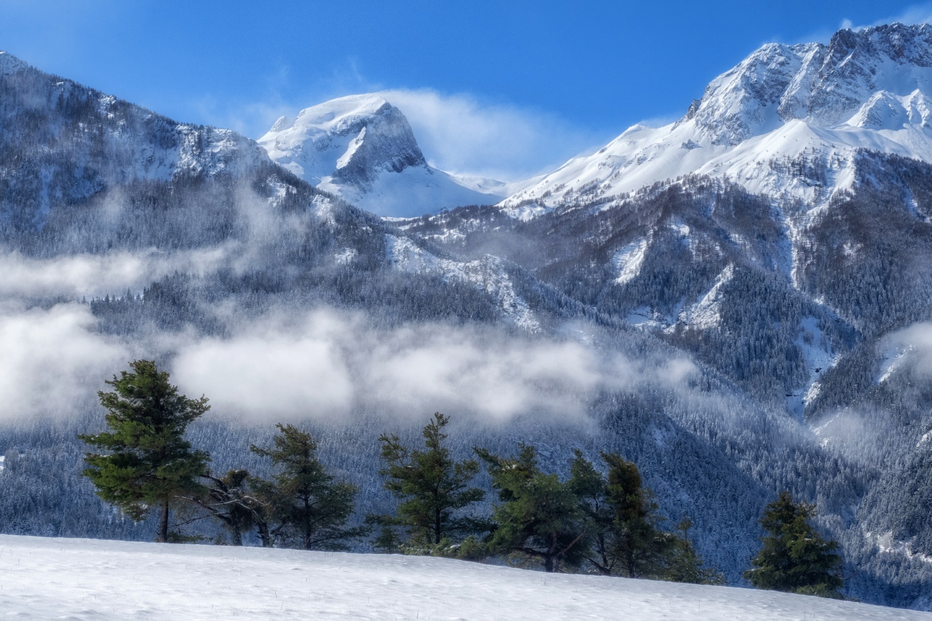 Rencontre avec l�artiste Claude Gouron, photographe