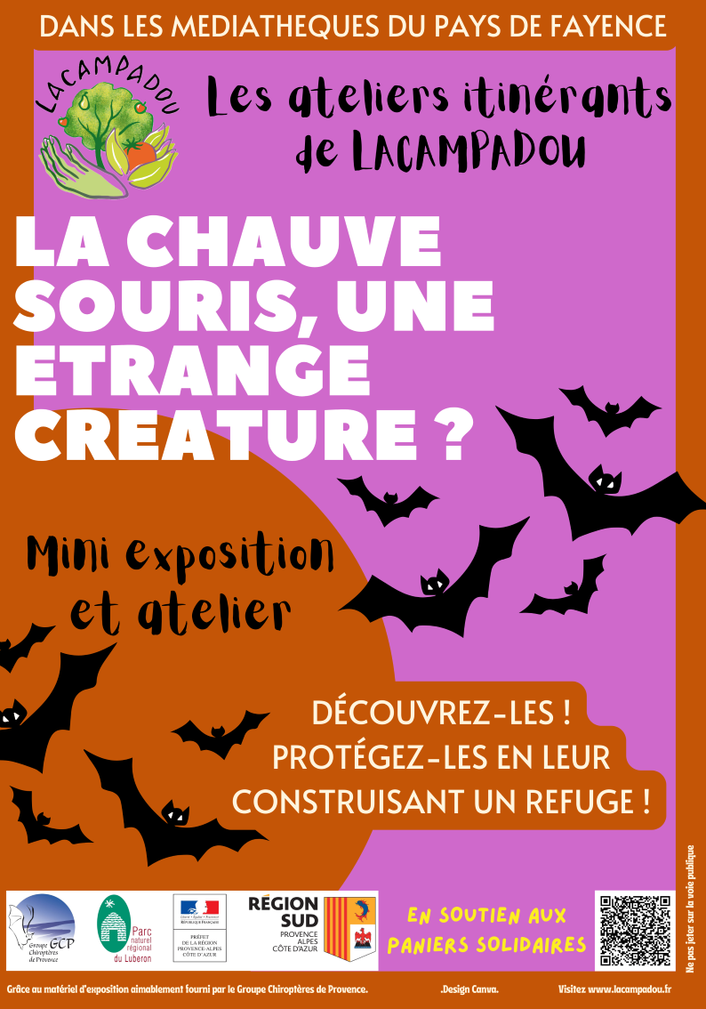 Exposition : La chauve-souris, une �trange cr�ature !