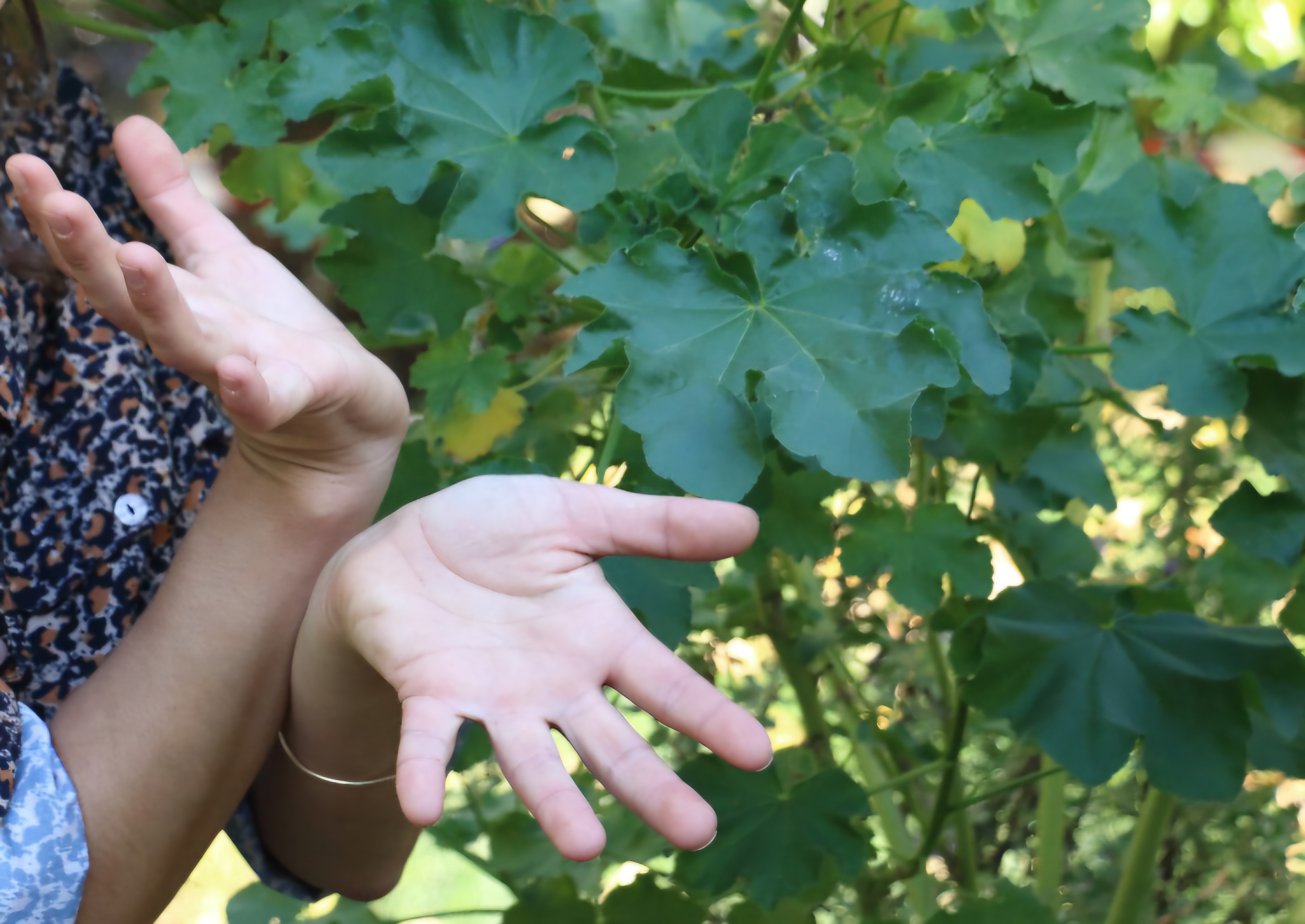 Week-end langue des signes et botanique