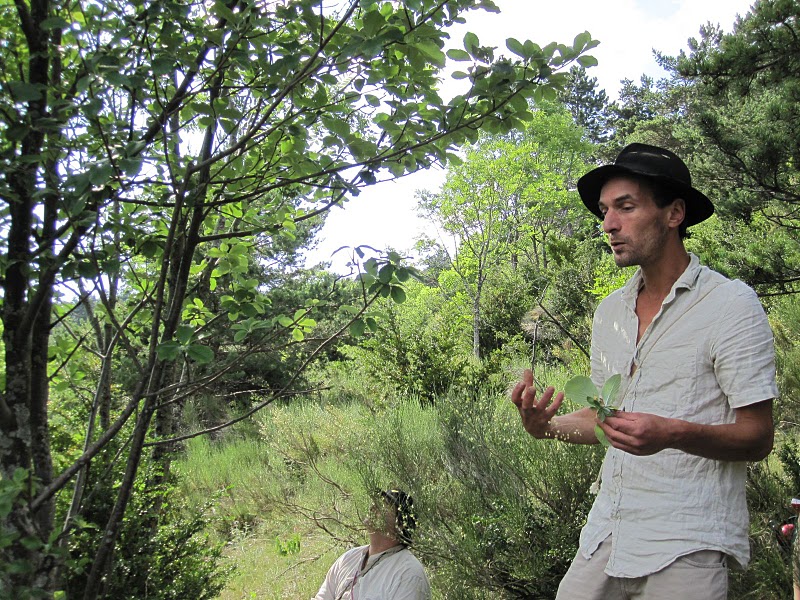 Sortie ethnobotanique � Salagon