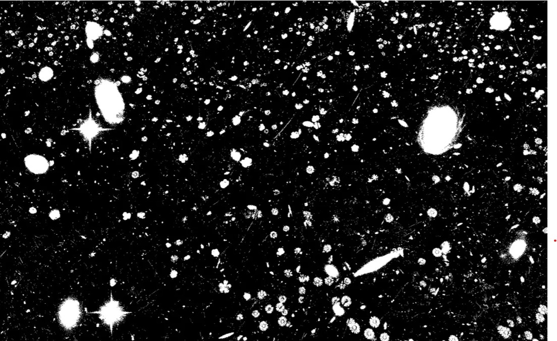 Angela Detanico et Rafael Lain : Champ �toil�