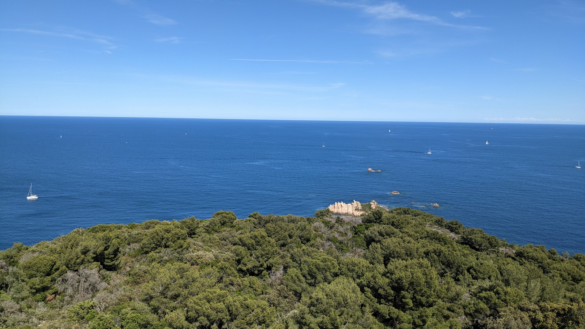 Chantier Nature : La nature au naturel