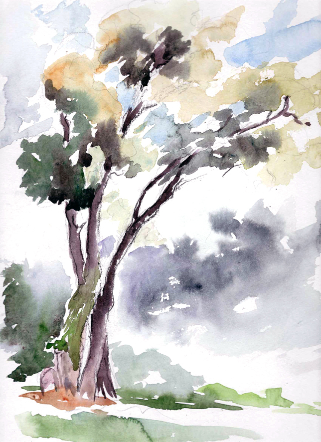 La Nature: Emotions et Imaginaires - Exposition