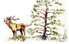 Immersions, cinq ans sur le Ventoux - Exposition